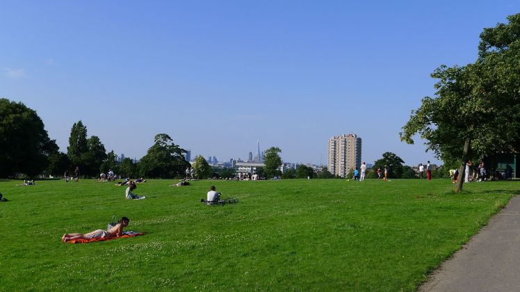 Herne_Hill_skyline
